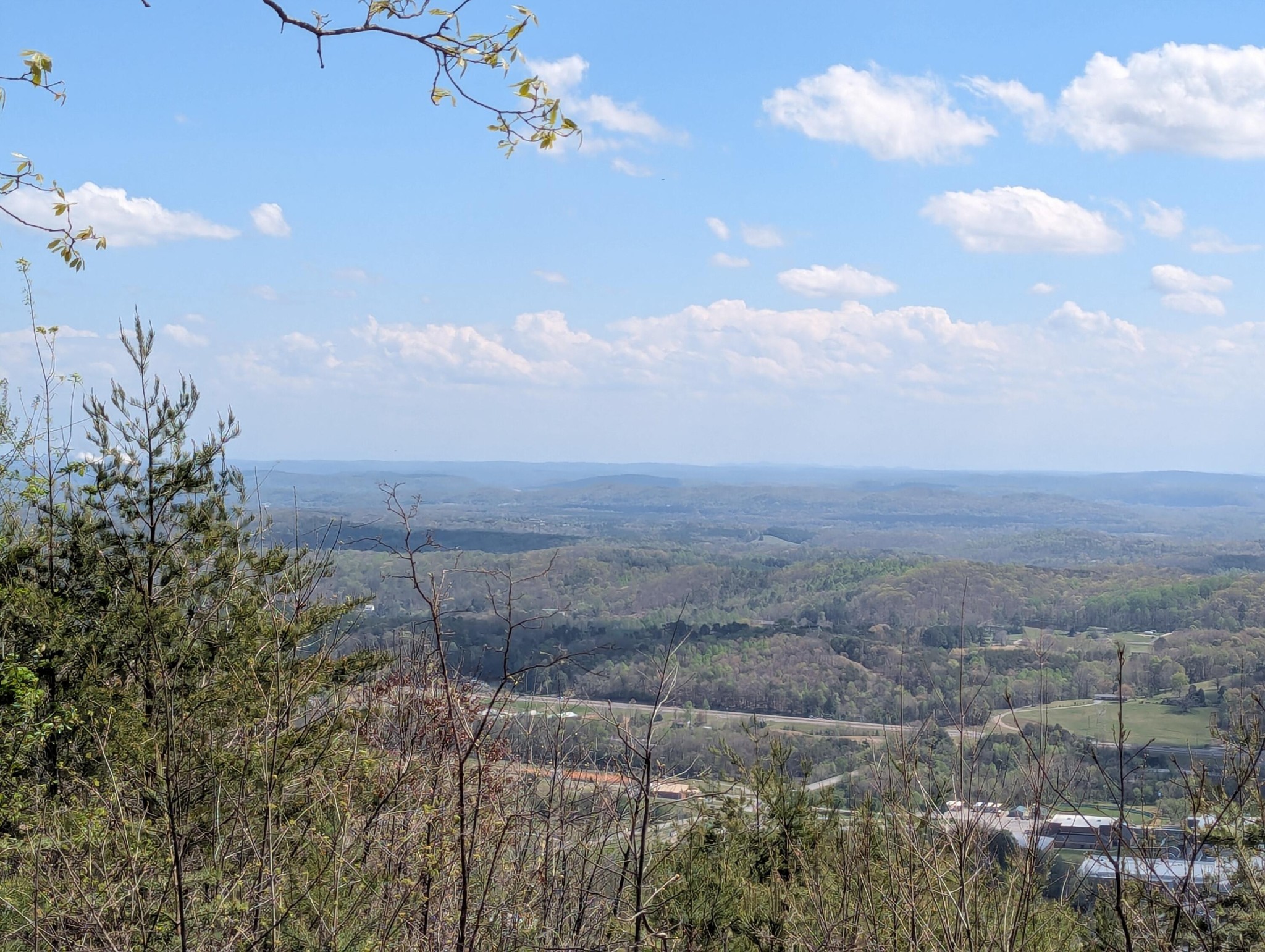 6 Escape Drive Evensville TN 37332