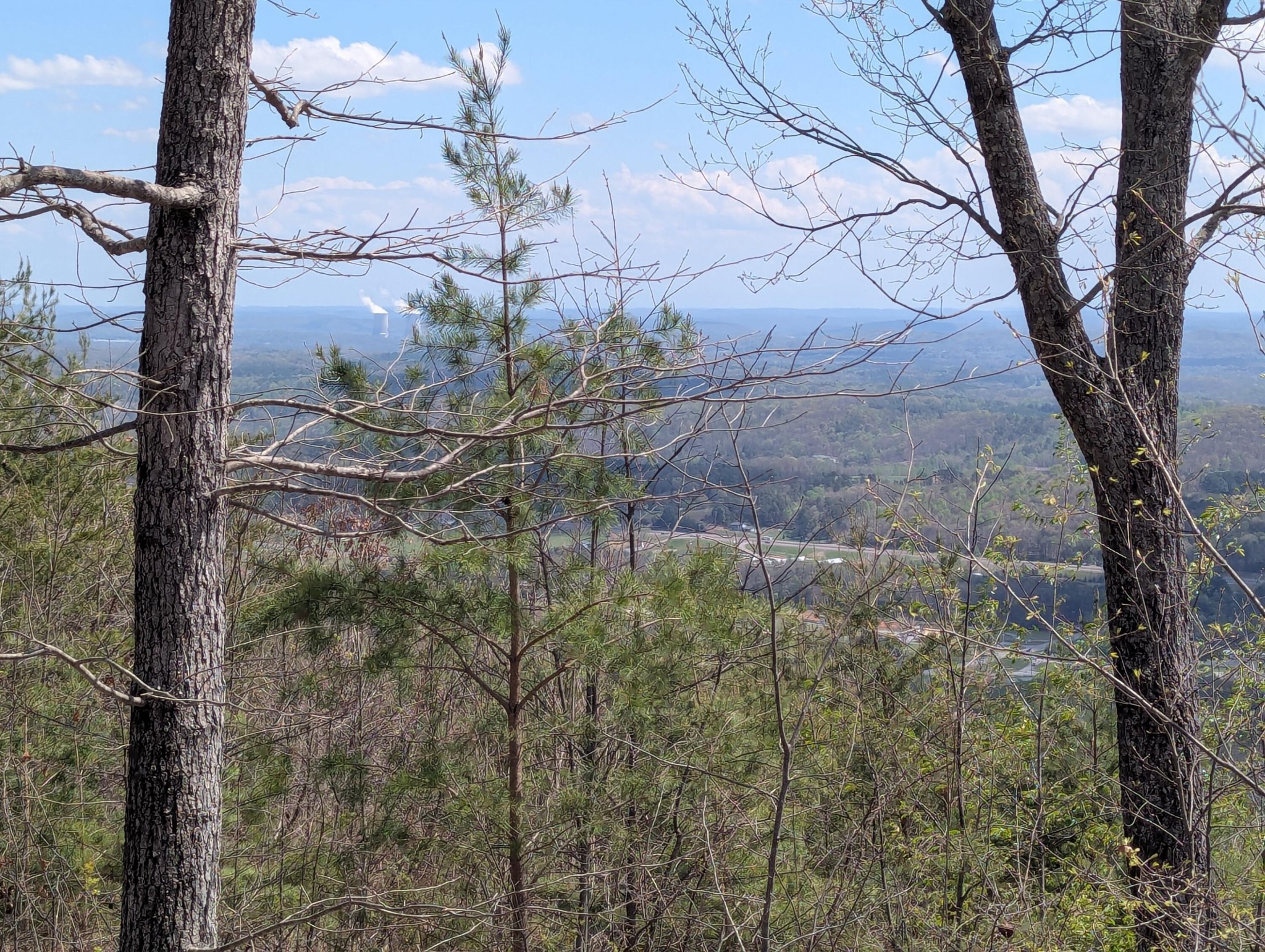 6 Escape Drive Evensville TN 37332