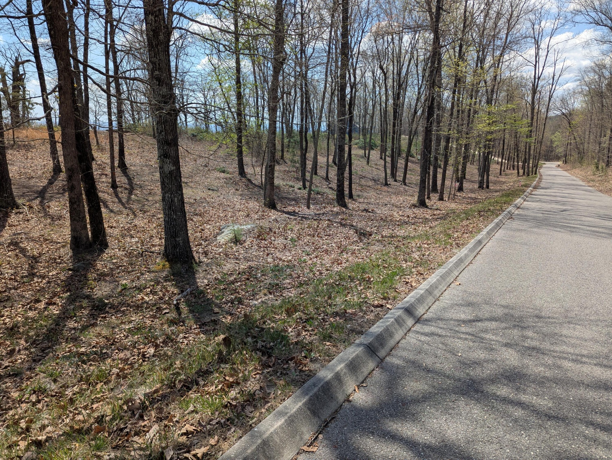 6 Escape Drive Evensville TN 37332