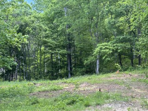 0 Cub Creek Road Indian Mound TN 37079