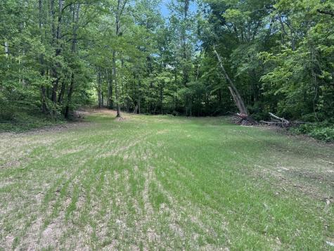 0 Cub Creek Road Indian Mound TN 37079