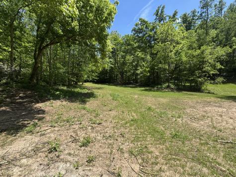 0 Cub Creek Road Indian Mound TN 37079