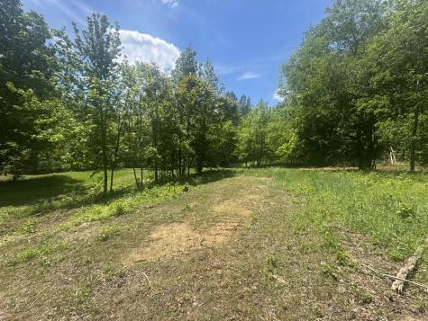 0 Cub Creek Road Indian Mound TN 37079