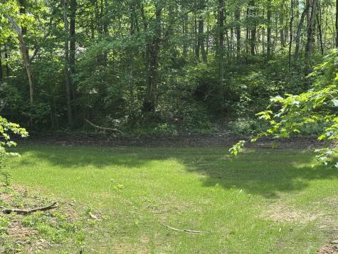 0 Cub Creek Road Indian Mound TN 37079