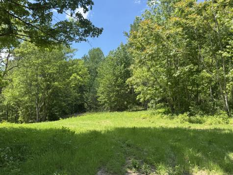 0 Cub Creek Road Indian Mound TN 37079