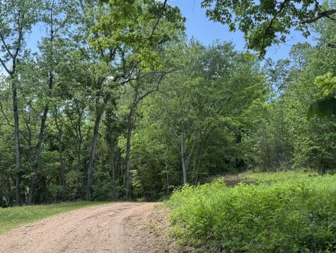 0 Cub Creek Road Indian Mound TN 37079