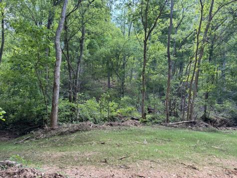 0 Cub Creek Road Indian Mound TN 37079