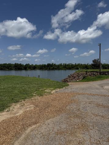 224 Peters Landing Road Clifton TN 38425