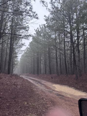 432 Liberty Ridge Road Hohenwald TN 38462