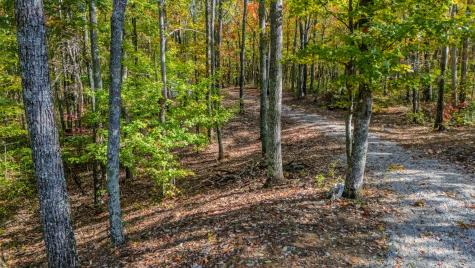 0 Valley View Drive Altamont TN 37301