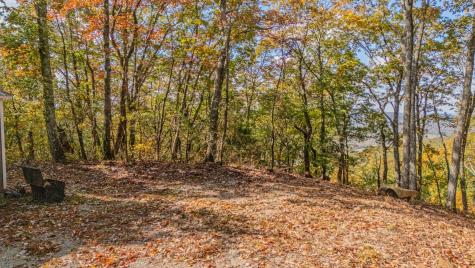 0 Valley View Drive Altamont TN 37301