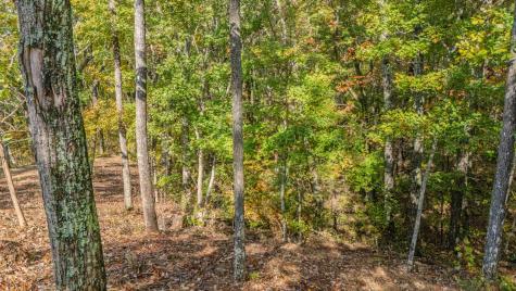 0 Valley View Drive Altamont TN 37301