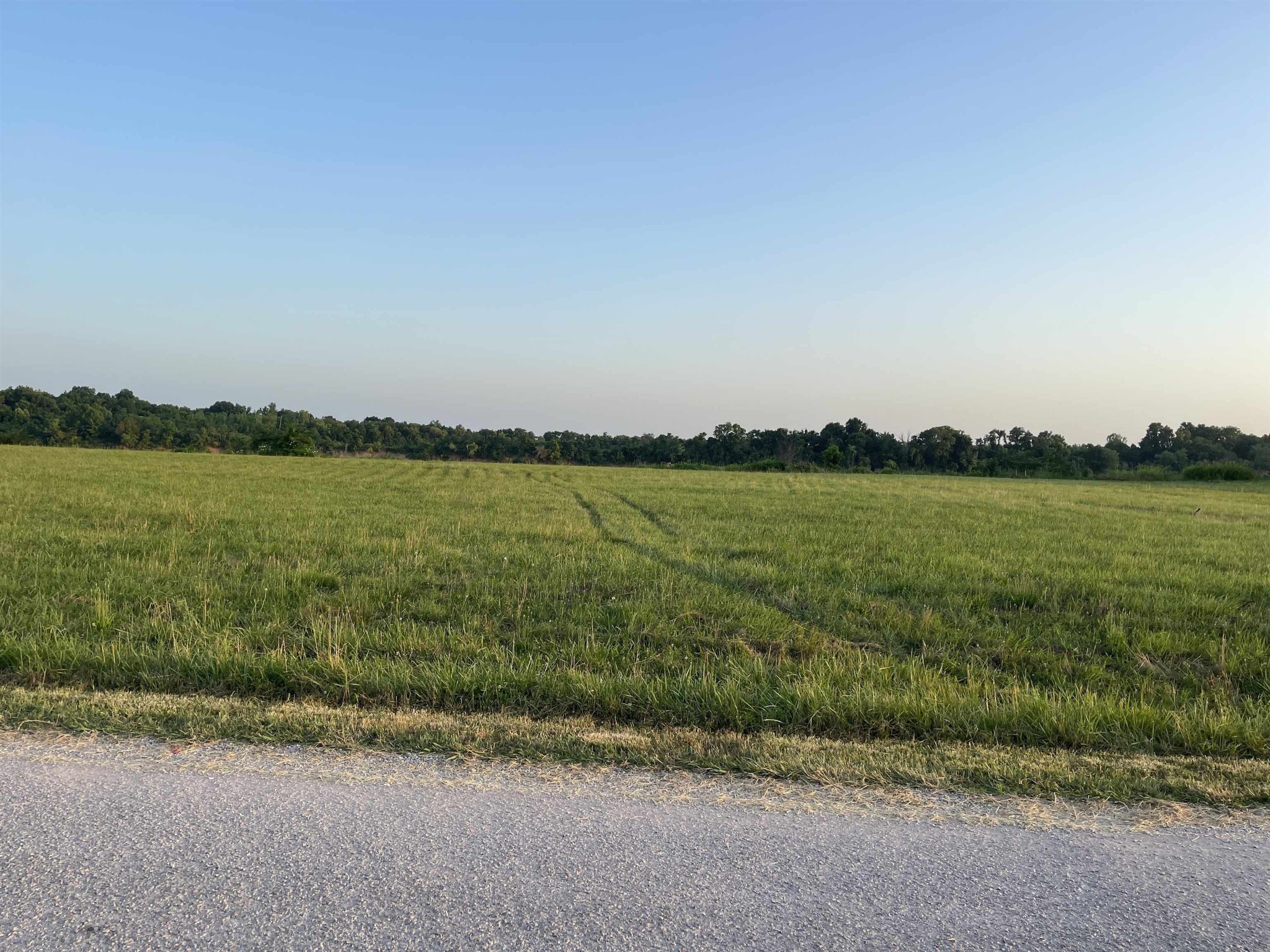 0 Catfish Lane Crump TN 38327