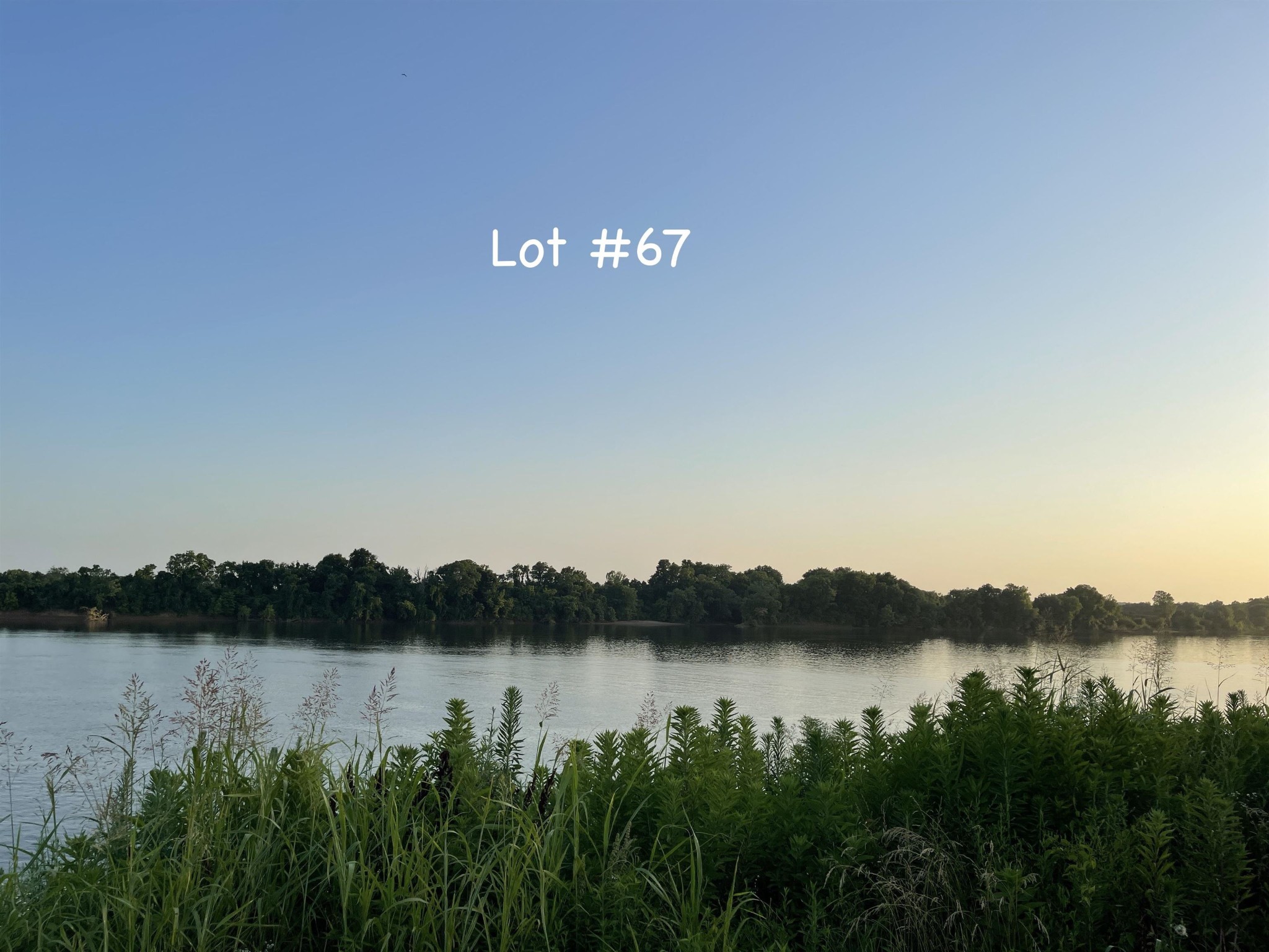 0 Catfish Lane Crump TN 38327