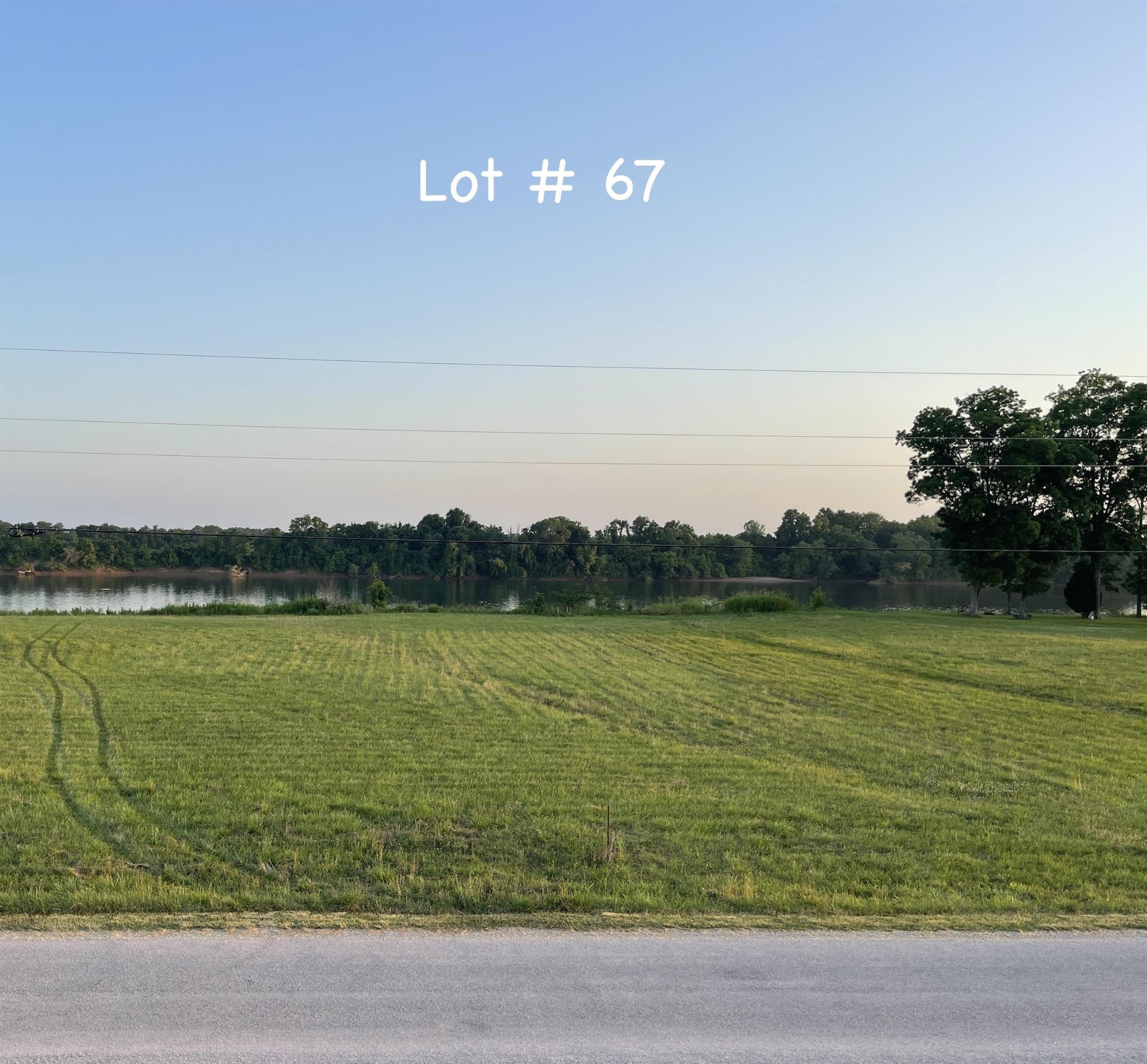 0 Catfish Lane Crump TN 38327