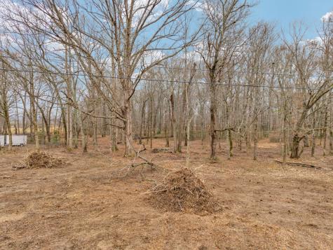 1295 Three Island Road Walling TN 38587