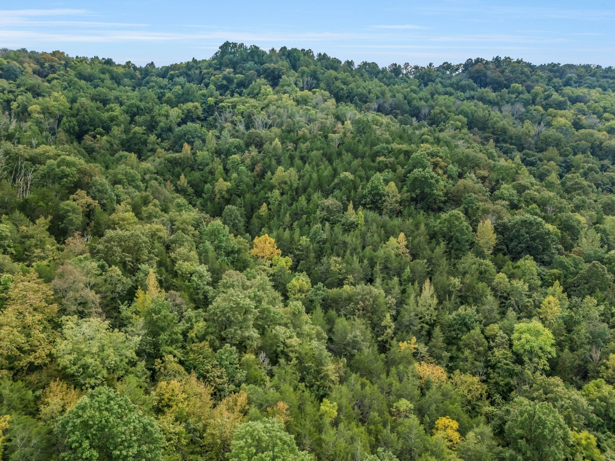 0 Poplar Flatt Road Silver Point TN 38582