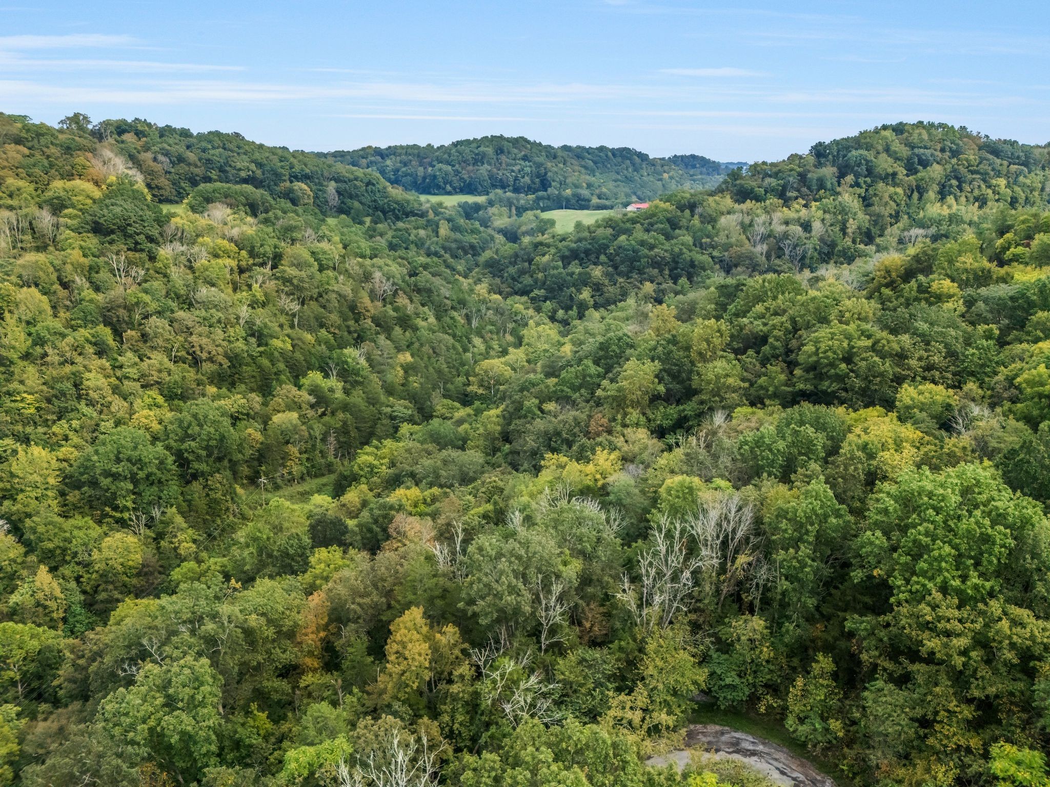 0 Poplar Flatt Road Silver Point TN 38582