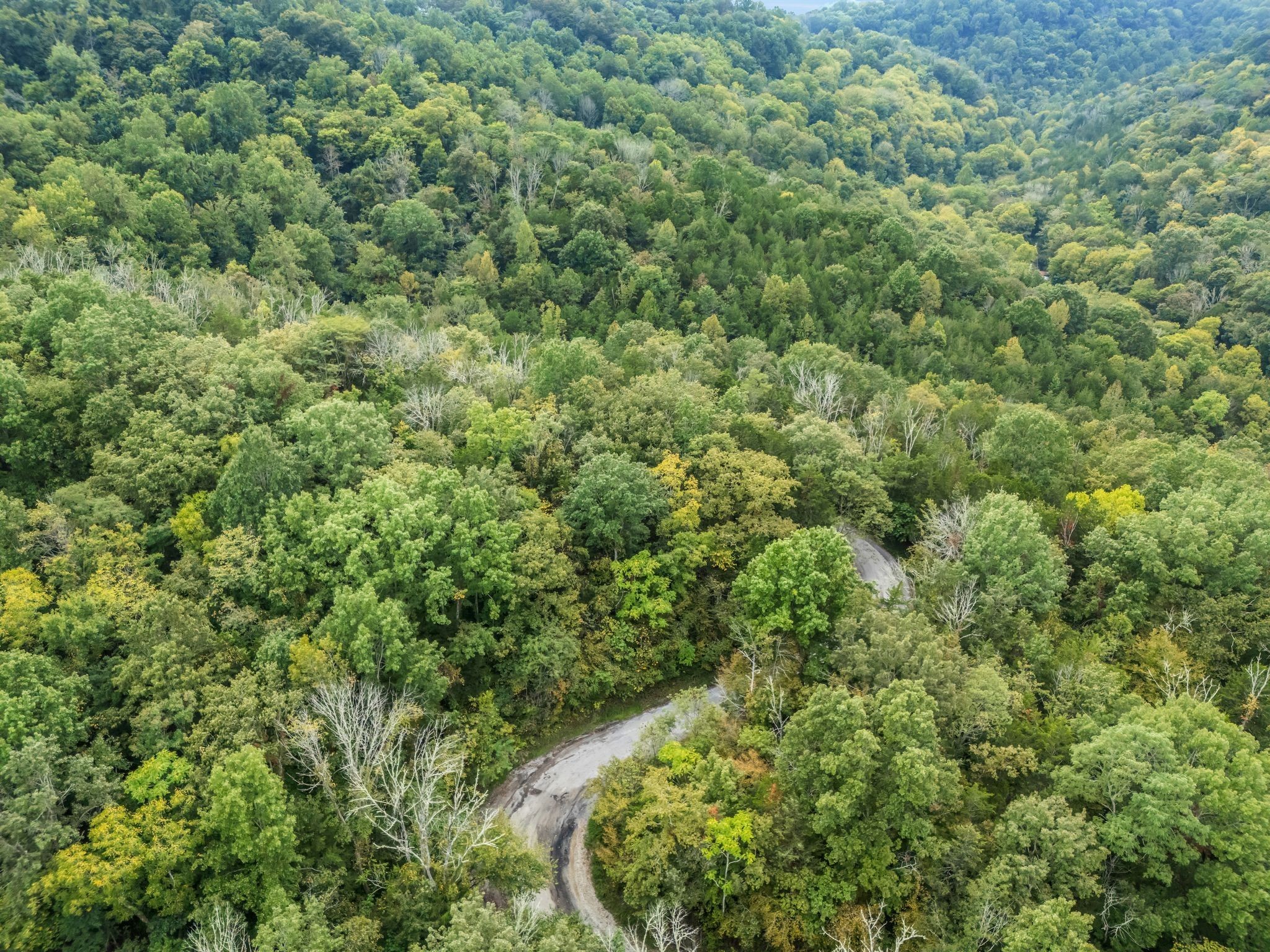 0 Poplar Flatt Road Silver Point TN 38582