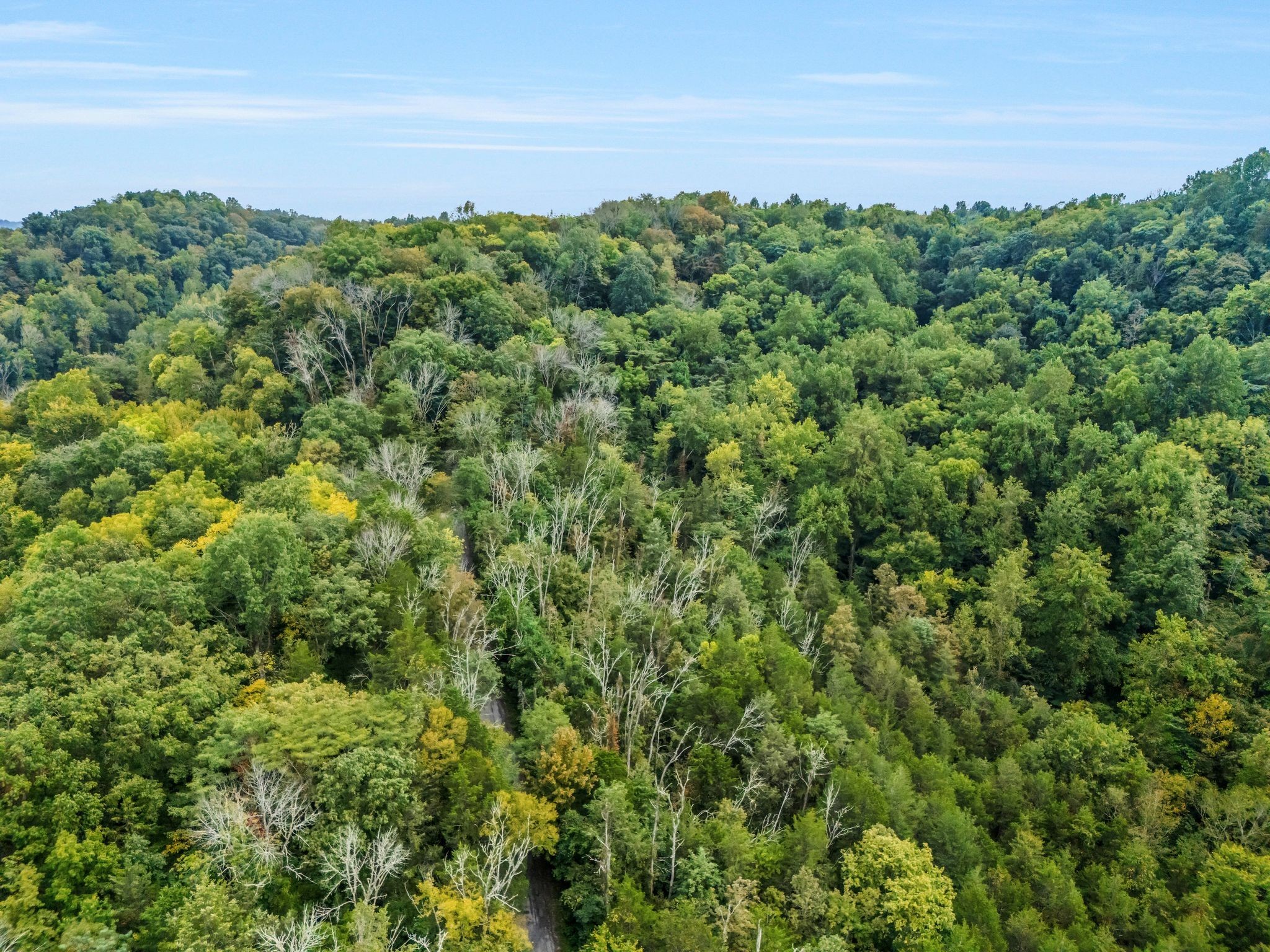 0 Poplar Flatt Road Silver Point TN 38582