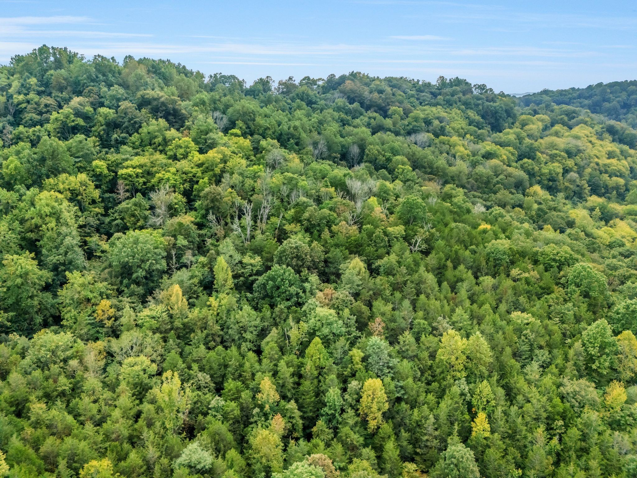 0 Poplar Flatt Road Silver Point TN 38582