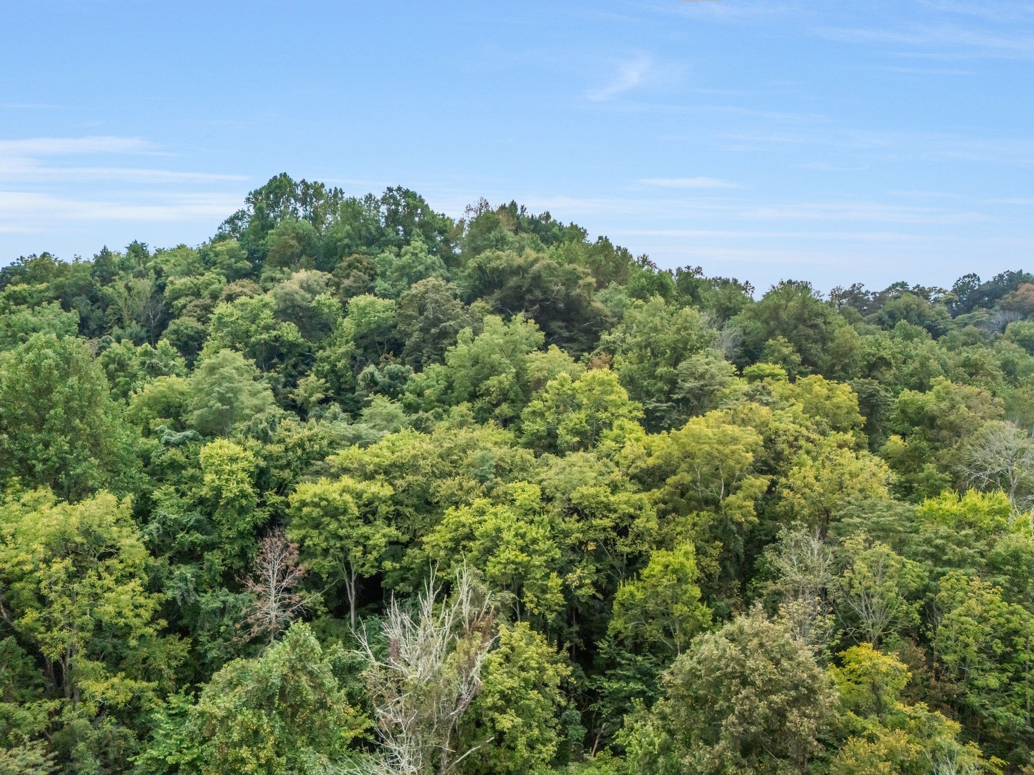0 Poplar Flatt Road Silver Point TN 38582