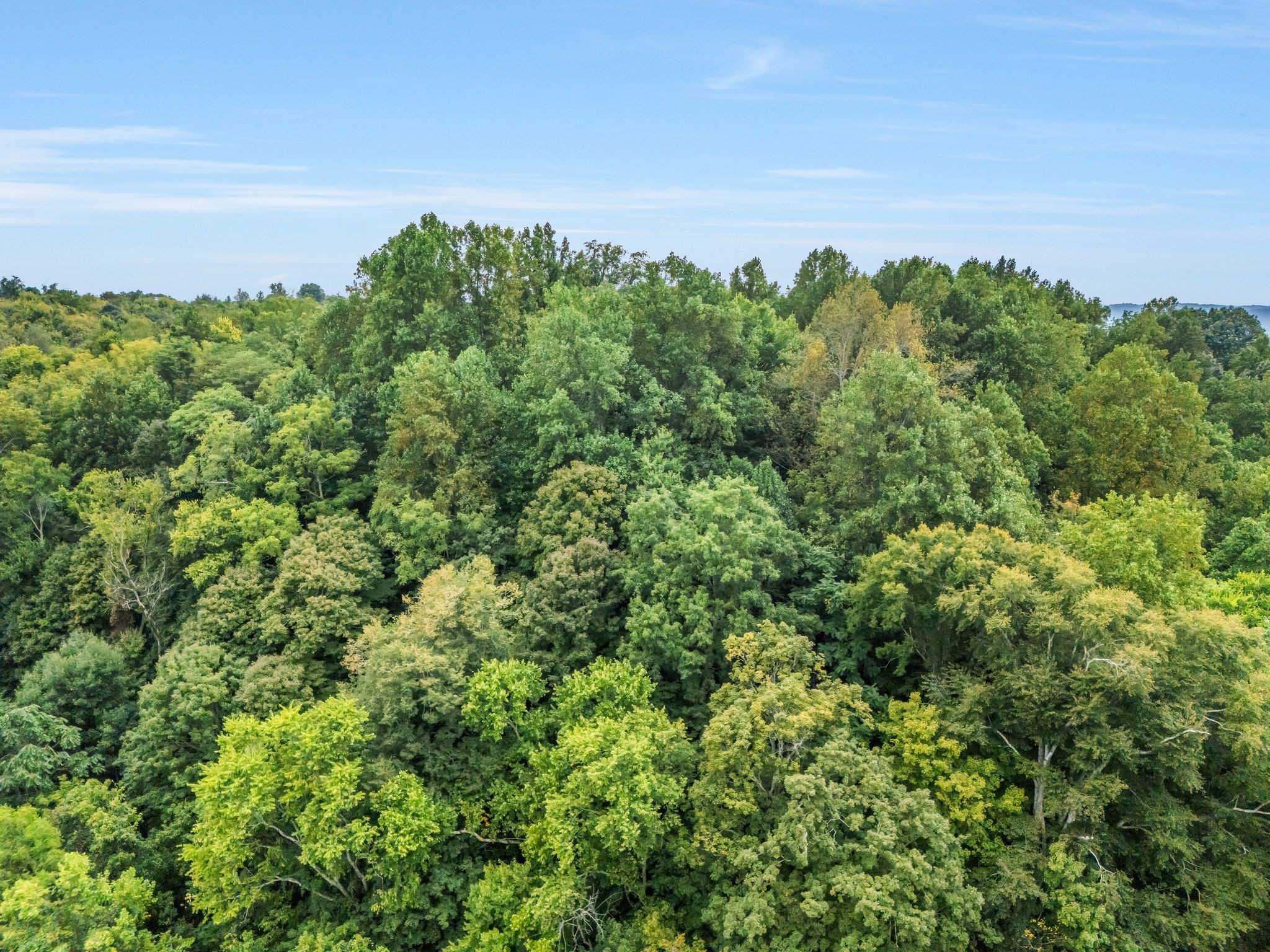 0 Poplar Flatt Road Silver Point TN 38582