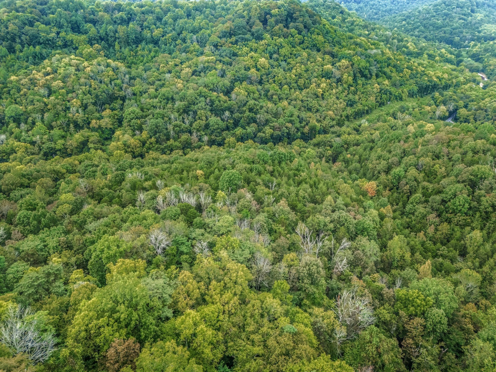 0 Poplar Flatt Road Silver Point TN 38582