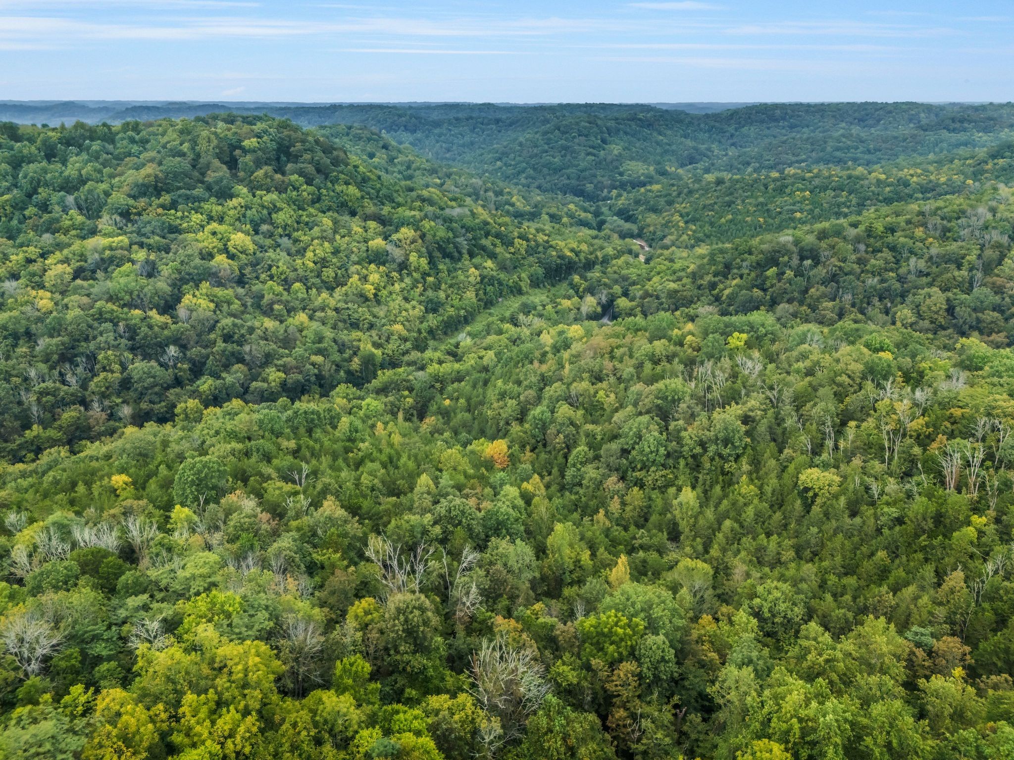 0 Poplar Flatt Road Silver Point TN 38582