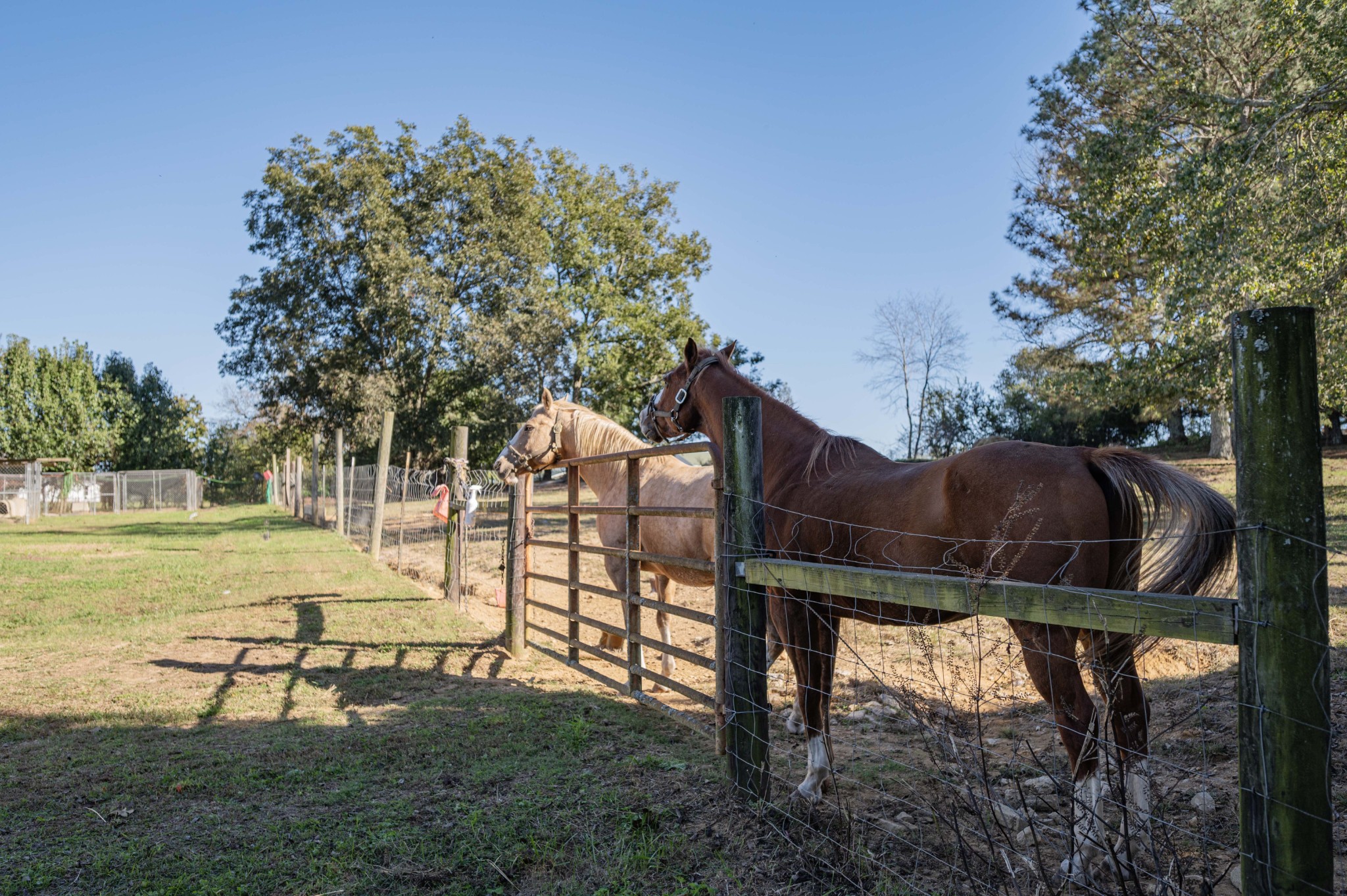 7817 Shelbyville Road Morrison TN 37357