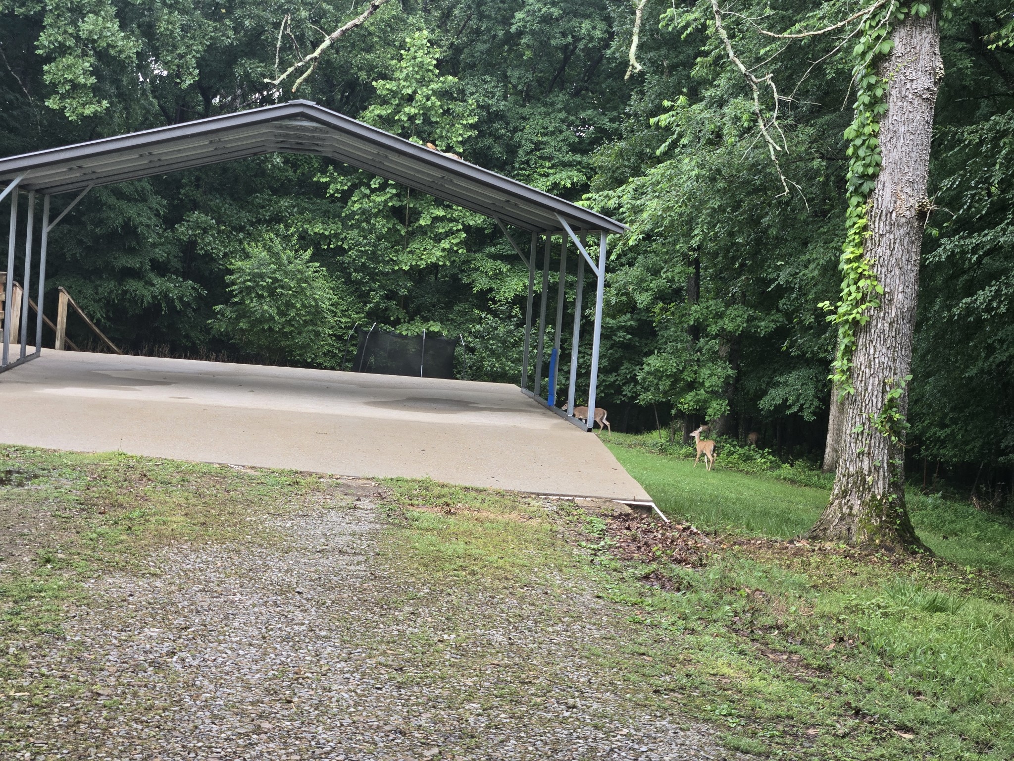 955 Dogwood Drive New Johnsonville TN 37134