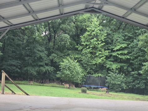 955 Dogwood Drive New Johnsonville TN 37134