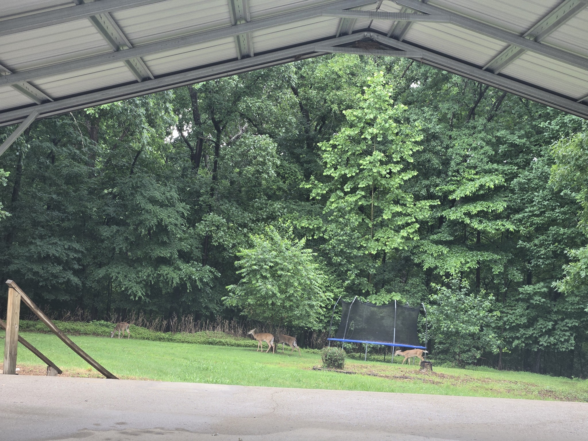 955 Dogwood Drive New Johnsonville TN 37134