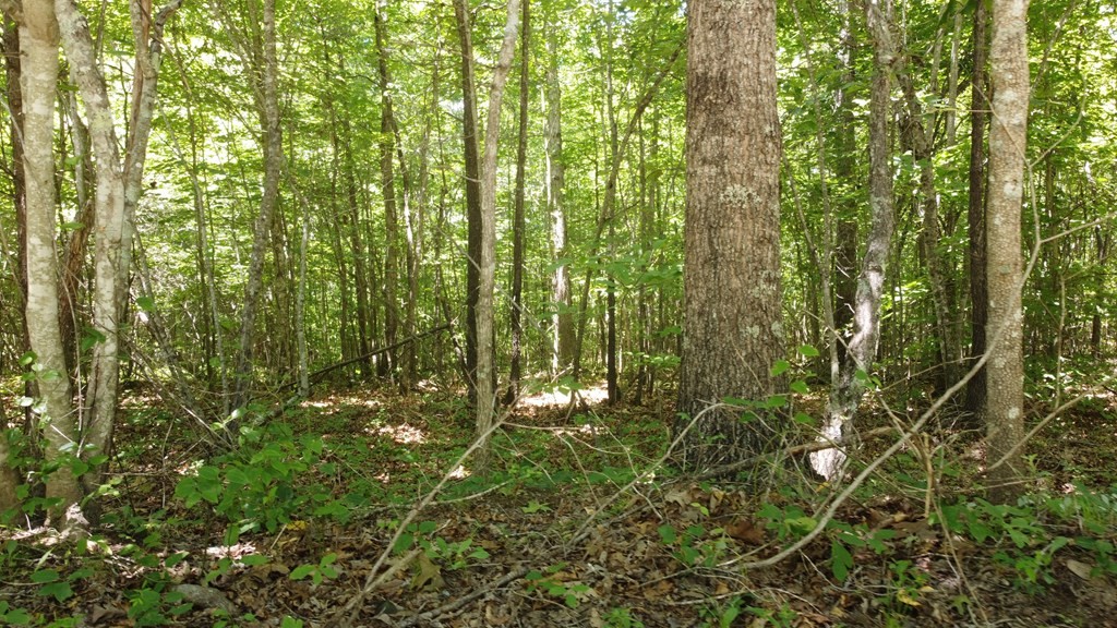 0 Camp Creek Road Spencer TN 38585