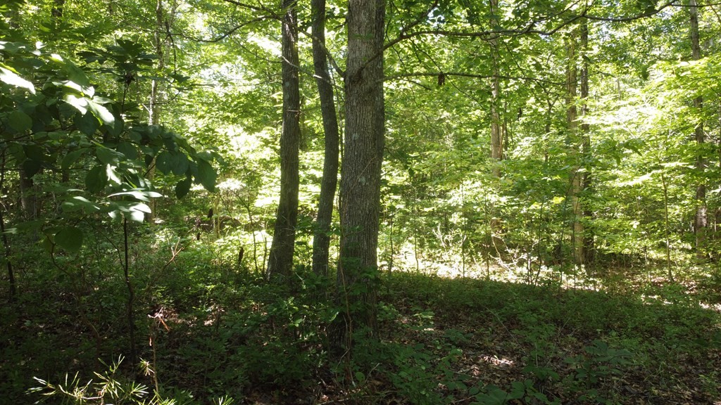 0 Camp Creek Road Spencer TN 38585