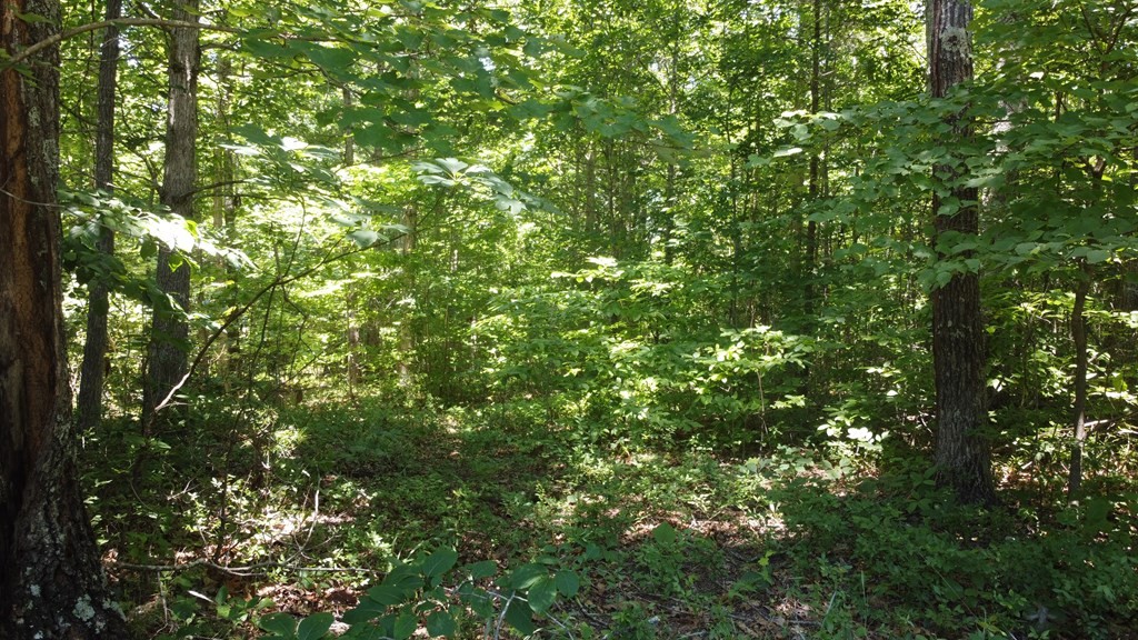 0 Camp Creek Road Spencer TN 38585