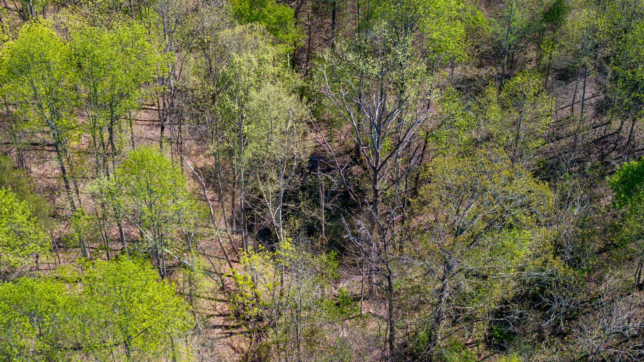 0 Dodson Branch Highway Cookeville TN 38501