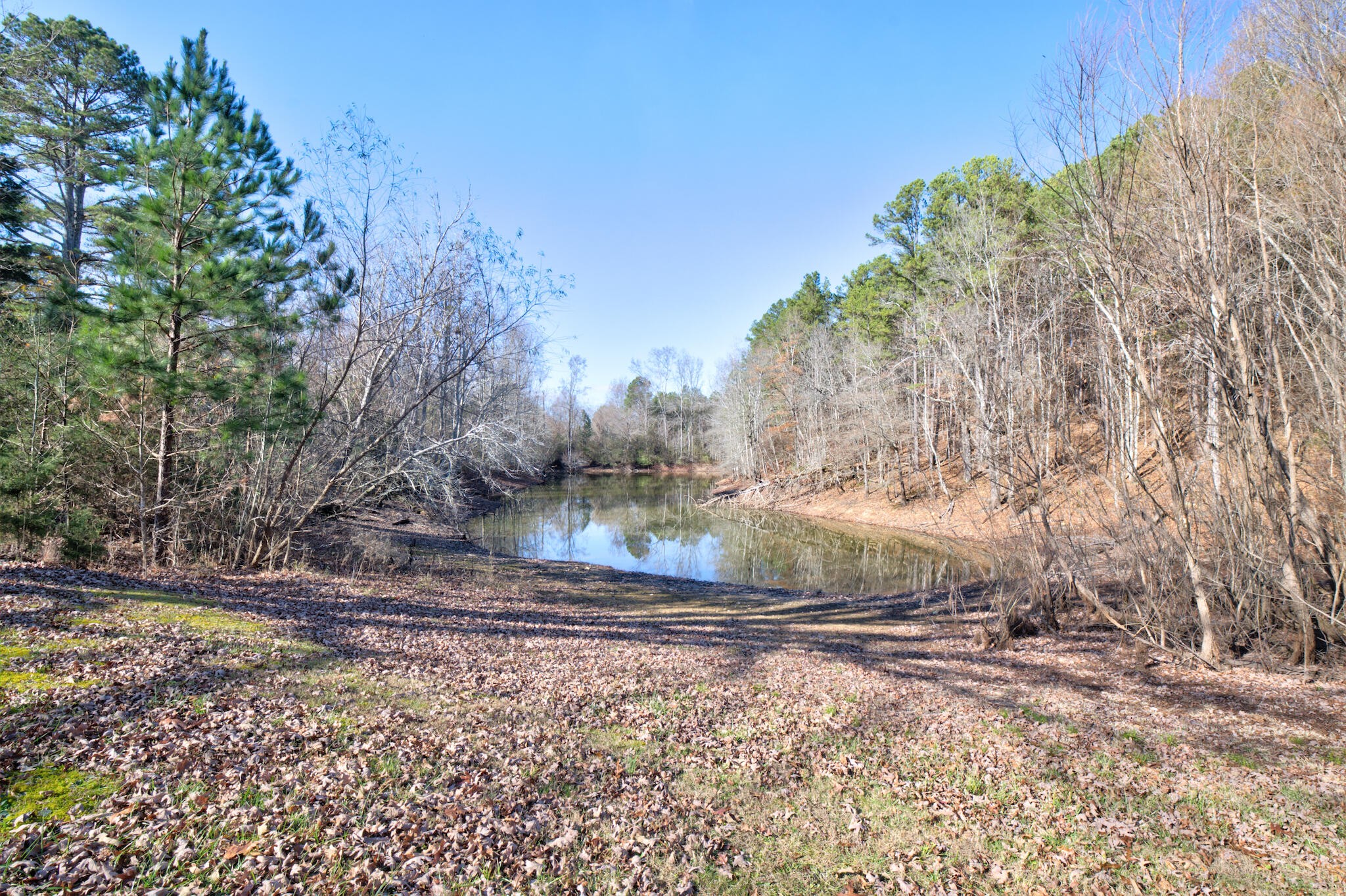 10241 Wagon Wheel Trail Harrison TN 37341