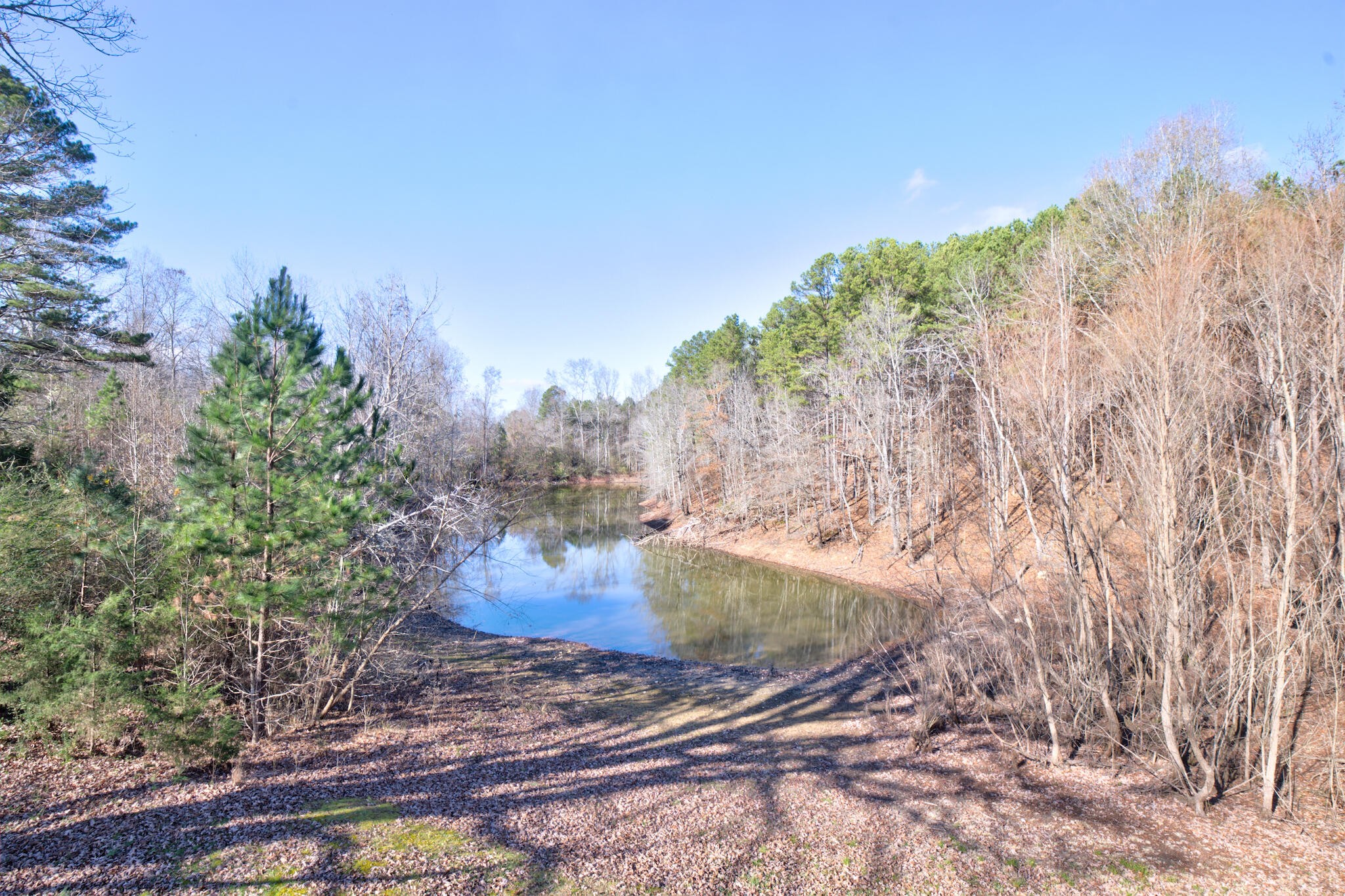 10241 Wagon Wheel Trail Harrison TN 37341