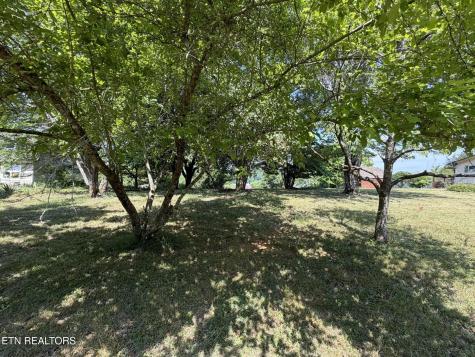 23 Morris Lane Kingston TN 37763