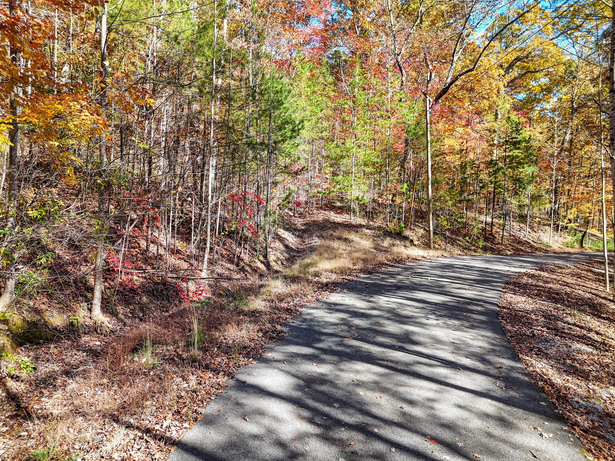 202 Deep Woods Drive Dunlap TN 37327
