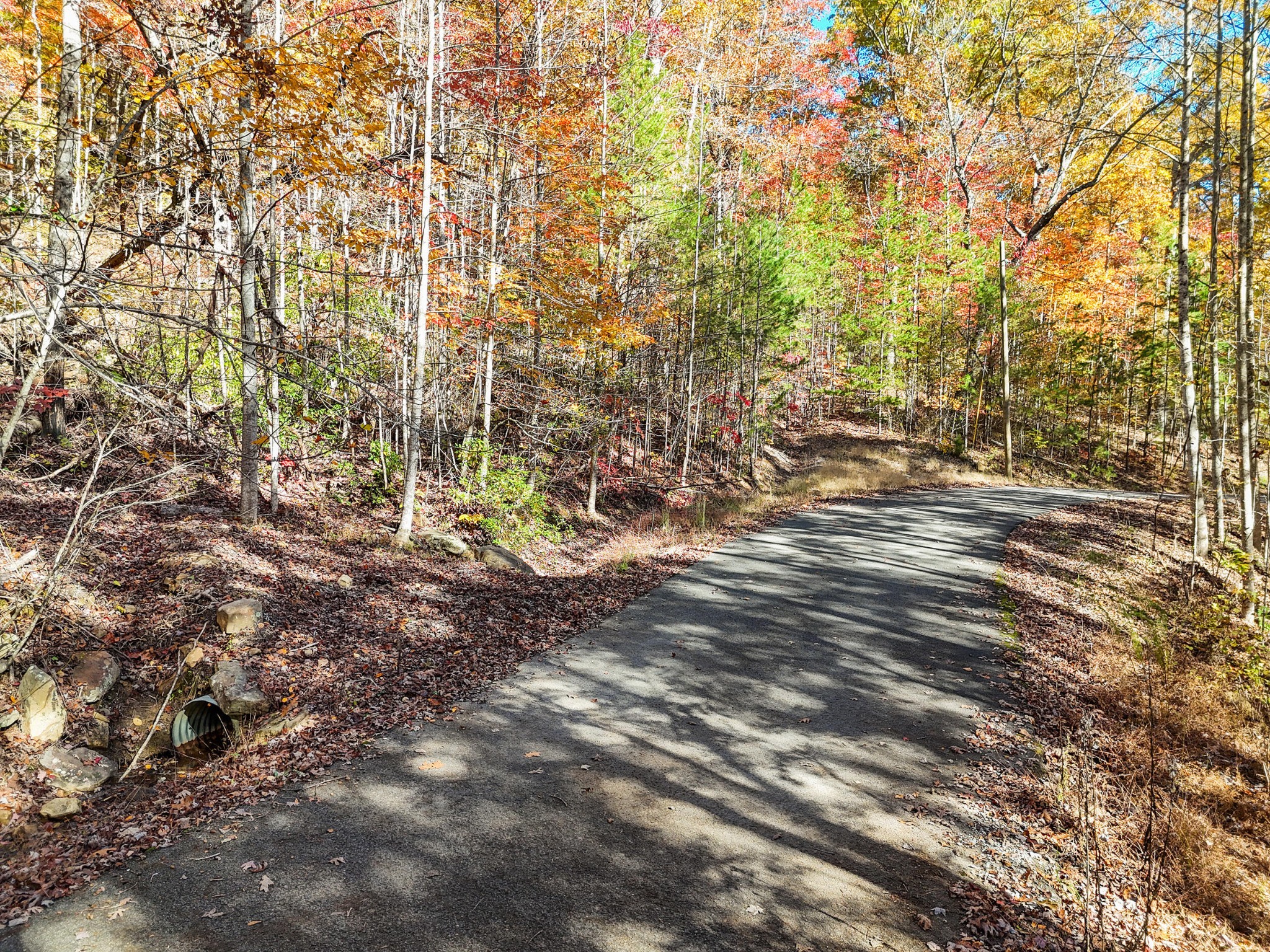 202 Deep Woods Drive Dunlap TN 37327
