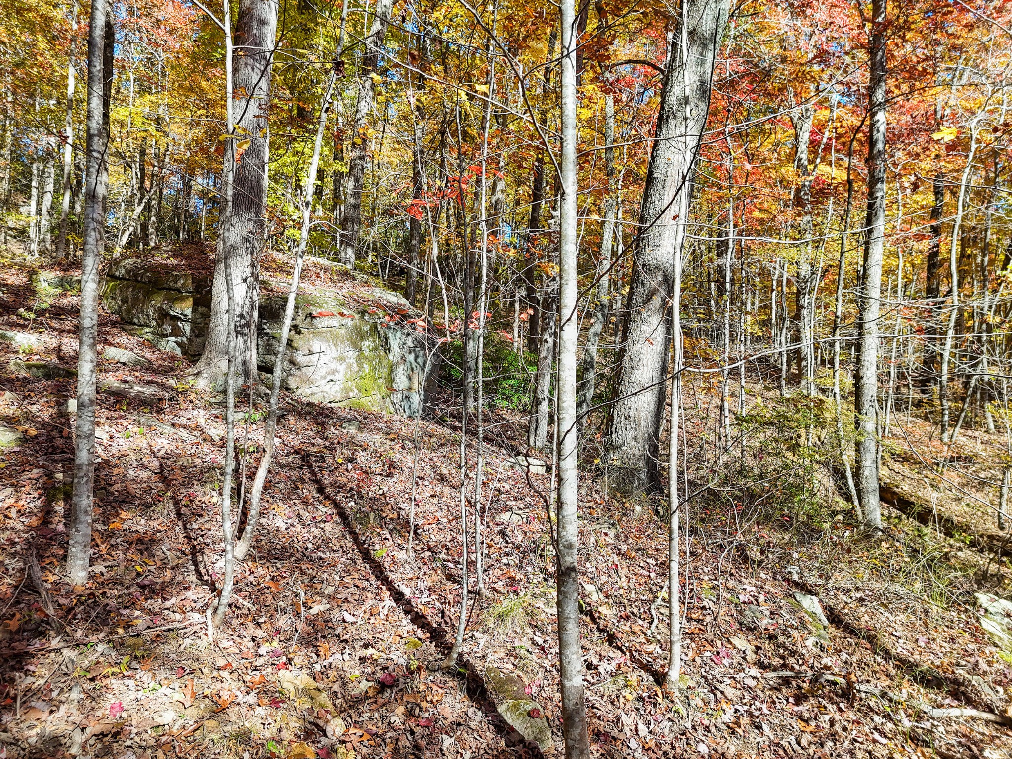 202 Deep Woods Drive Dunlap TN 37327