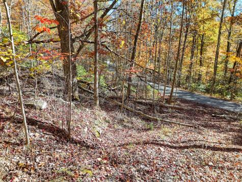 202 Deep Woods Drive Dunlap TN 37327