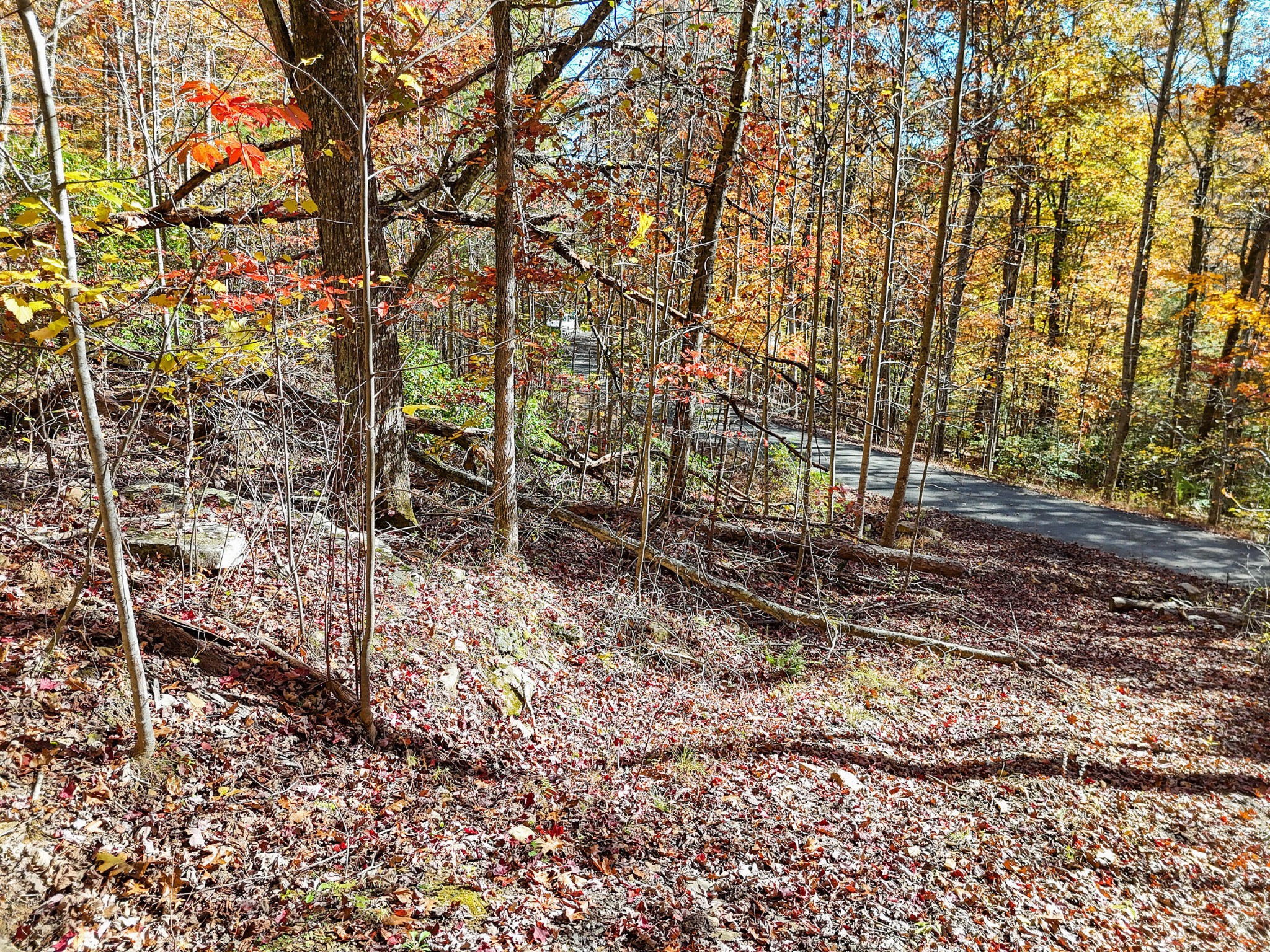 202 Deep Woods Drive Dunlap TN 37327
