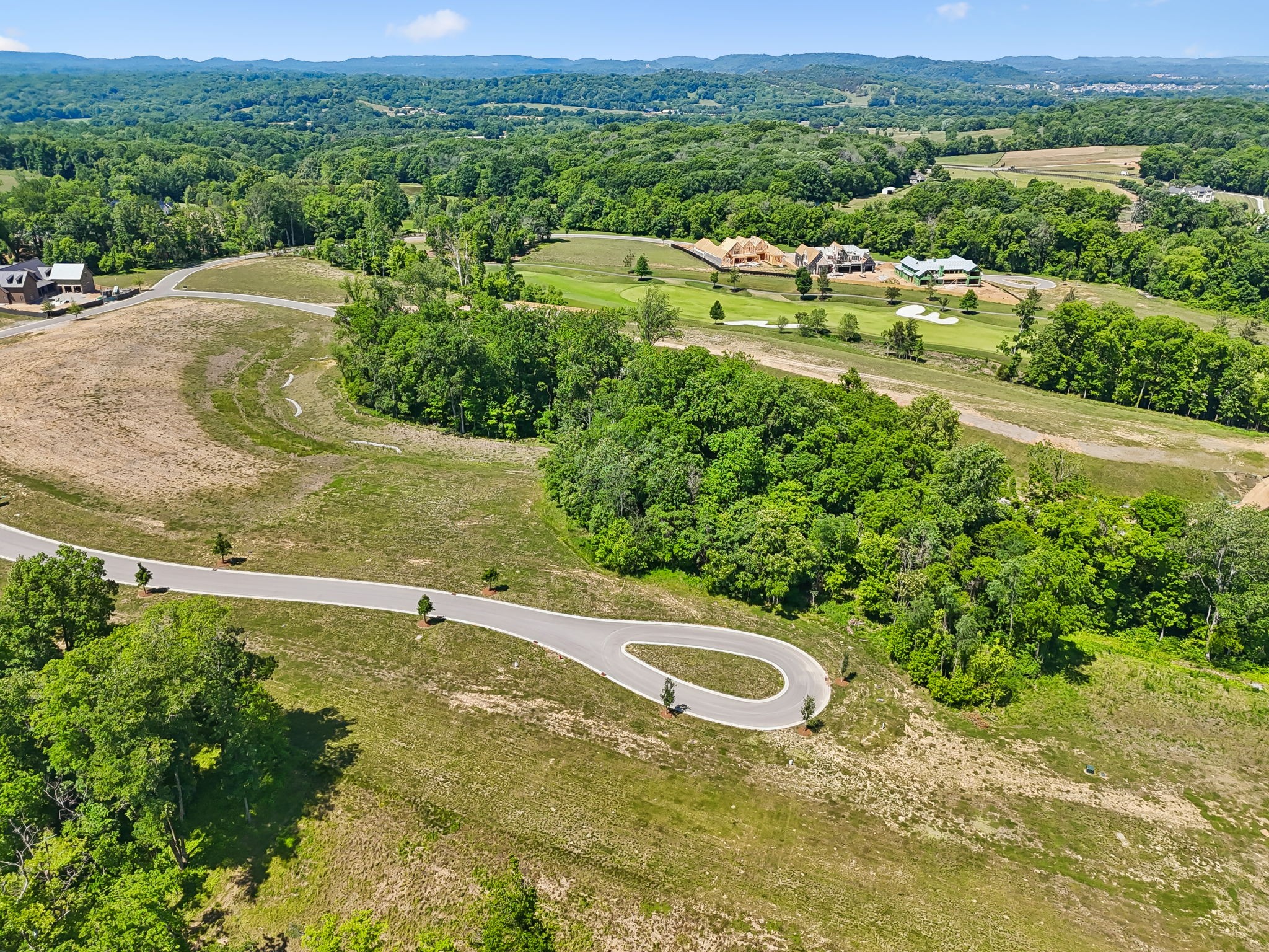 8386 Six String Drive Lot 1207 College Grove TN 37046