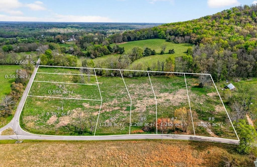 0 Webbs Camp Road Walling TN 38587
