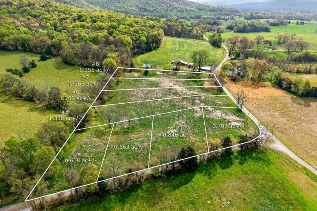 0 Webbs Camp Road Walling TN 38587