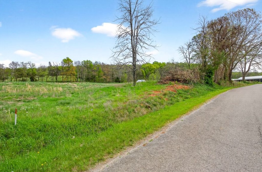 0 Webbs Camp Road Walling TN 38587