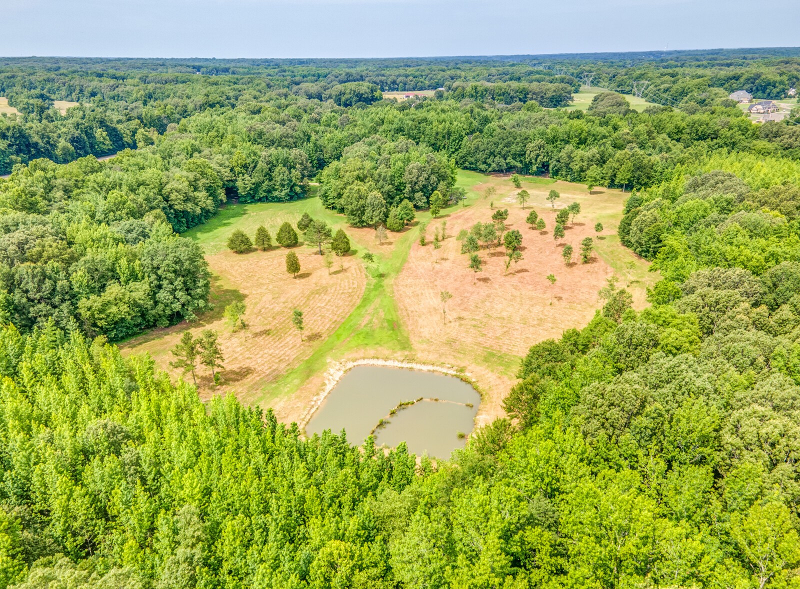 1225 Fields Drive Arlington TN 38002